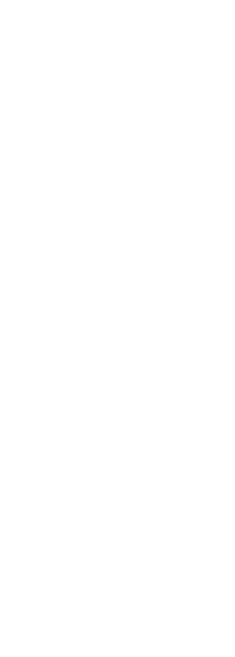 Dami Owolabi Logo